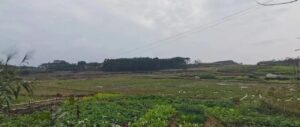 大湾古墟