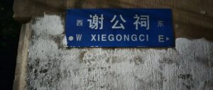 在谢公祠