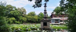 燕湖公园
