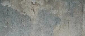 使府执照
